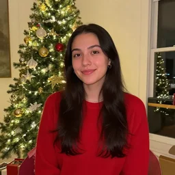 i am become christmas