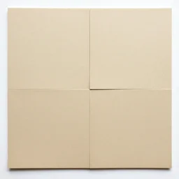 A square sheet cut exactly into two parts of equal size