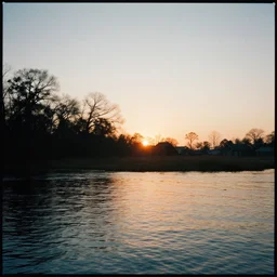 anodic bayou