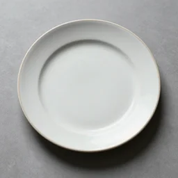 an empty plate, culinary art photography