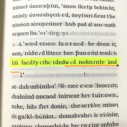 paragraph starting with highlighted the