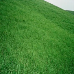 extreme wide shot photo!! of a green empty steep grass hill with no trees, flash photography, strange unnatural lighting, flash photography, uncanny, colored photograph