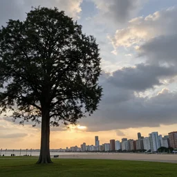 large city, clouds, sun set, near the beach, big trees by mc escher, colorized by... ross
