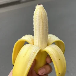 shortest banana in existance