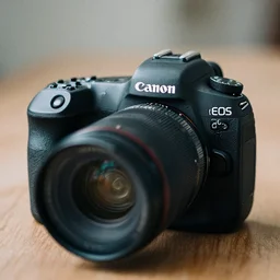 Canon EOS R3. Extremely grainy photograph of a.