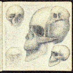 anatomy of a skulls, diagrams, map, marginalia, sketchbook, old script, inhabited initials, pastel infographic by Wes Anderson and victo ngai