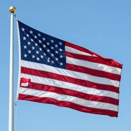 a flag of usa