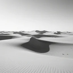 saharan desert dunes, black and white