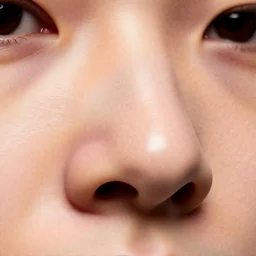 interior view of a nostril