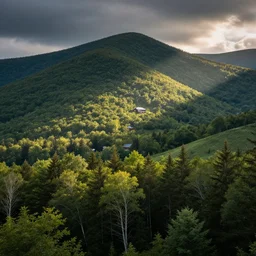 vermont in summer natural landscapes, photo,