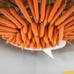 carrot ceiling speech game