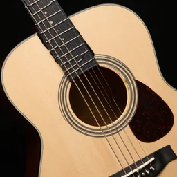 black - nylon - vein - strings muse who is extremely acoustic