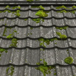 tileable texture of japanese roof shingles with moss, very realistic, very detailed, beautiful, intricate details, sharp focus, substance designer, digital painting, substance render, substance painter, marmoset, goro fujita, studio ghibli, hayao miyazaki, low poly art, unreal engine, octane render