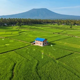 wide aerial photo of bright green rice fields on terraced mountain farm, a small 2 stories red white brick house with blue rooftop in the middle, coconut palm vegetation in the horizon, majestic mountain and clear blue sky in the far background, dynamic lighting, raytracing effects, sony 3 5 mm f / 9