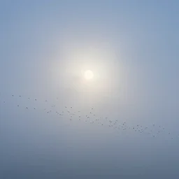 swarm of birds, laguna beach in california, moon rays, fog, fuzzy iridescent glare, lush fog, deep blue mood, contemporary archival color photograph print from the original negative, by stanley kubrick