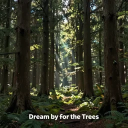 Dream by Forest For the Trees