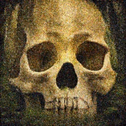 View from inside of a human skull, looking out at an overgrown forest, golden hour, digital art, high quality