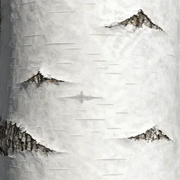 birch bark texture material, high definition, high detail, 8k, photorealistic