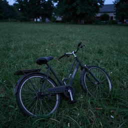 lost bike, summer evening, kenton nelson