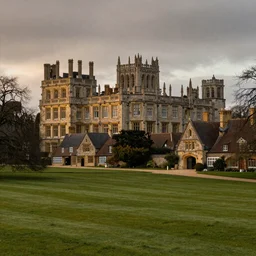 a tudor style village in the shadows of an enormous Gothic Revival architecture castle in a lovely meadow at dusk, art nouveau matte painting, highly detailed