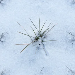 photo of grass and frozen snow texture, seamless micro detail, HD, 8K