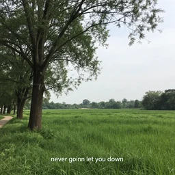 never gonna let you down, nature