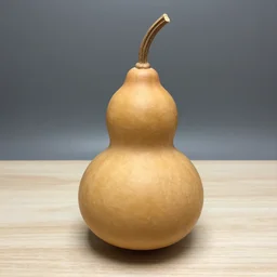 amber gourd heard as a gourd, she is a gourd
