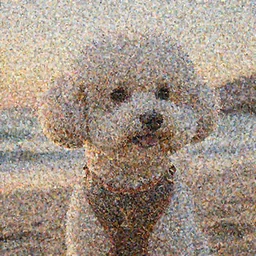 a closeup photorealistic photograph of a Louis Vuitton style bichon frise at the beach during sunset This 4K HD image is Trending on Artstation, featured on Behance, well-rendered, extra crisp, features intricate detail and the style of Unreal Engine.