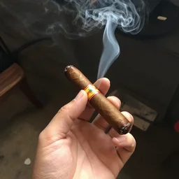 ape smoking cigar
