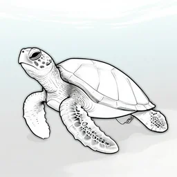 grayscale coloring page of an underwater sea turtle