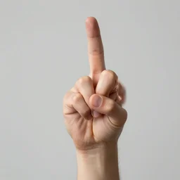 offensive hand gestures