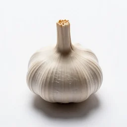 miniature garlic press, high detail macro photography, isolated on a pure white background, centered, entire object in frame, sharp focus, soft studio lighting