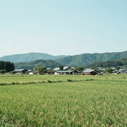 landscape of japanese countryside, in style of weezer pinkerton