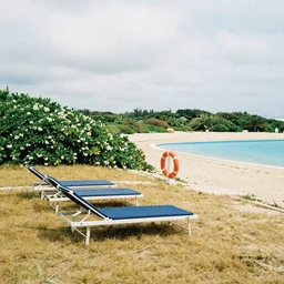 two tellow beach beds and a life saver next to a pool, yellowish grass and green bushes enviorment with white flowers, grainy photograph, diagonal composition, cloudy day, long shot