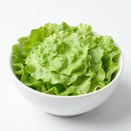 isolation salad