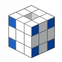 a diagram of a 4 - dimensional hypercube by leonardo da vinci