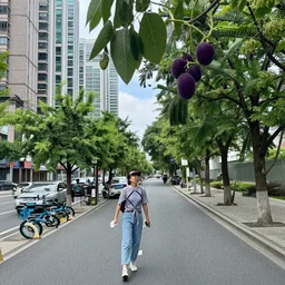 a city of 🍆