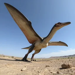 gopro photo first person perspective of quetzalcoatlus pterosaur known from the late cretaceous period
