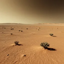 life forms on mars surface