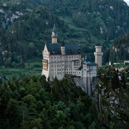 forest, mountain, castle, mystery