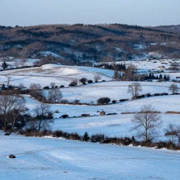 highly detailed matte painting of a glistening snowy rural landscape by atey ghailan, by greg rutkowski, by greg tocchini, by james gilliard, by joe fenton, blue, brown, black and light blue color scheme, octane render