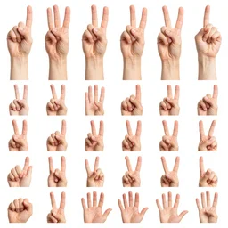 grid of hands depicting each letter of the alphabet in sign language