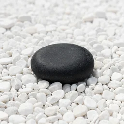 photo of a single black stone in a field of white stones