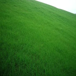 webcam photo!! of a green empty steep grass hill with no trees, flash photography, strange unnatural lighting, flash photography, uncanny, colored photograph