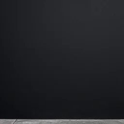 vantablack wall