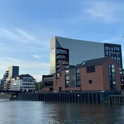meanwhile in rotterdam