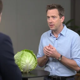 john oliver interviewing a cabbage