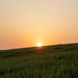 a sunset on a hill with grass , 8k, flat art