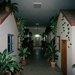 a photograph of liminal space weird mall playground house hall way houseplants place with something but empty, interior, unsettling, normal place with weird feeling, liminal space aesthetic, dark scene with flash