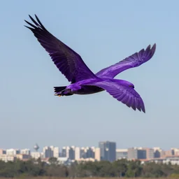 a flying with purple wings above city line